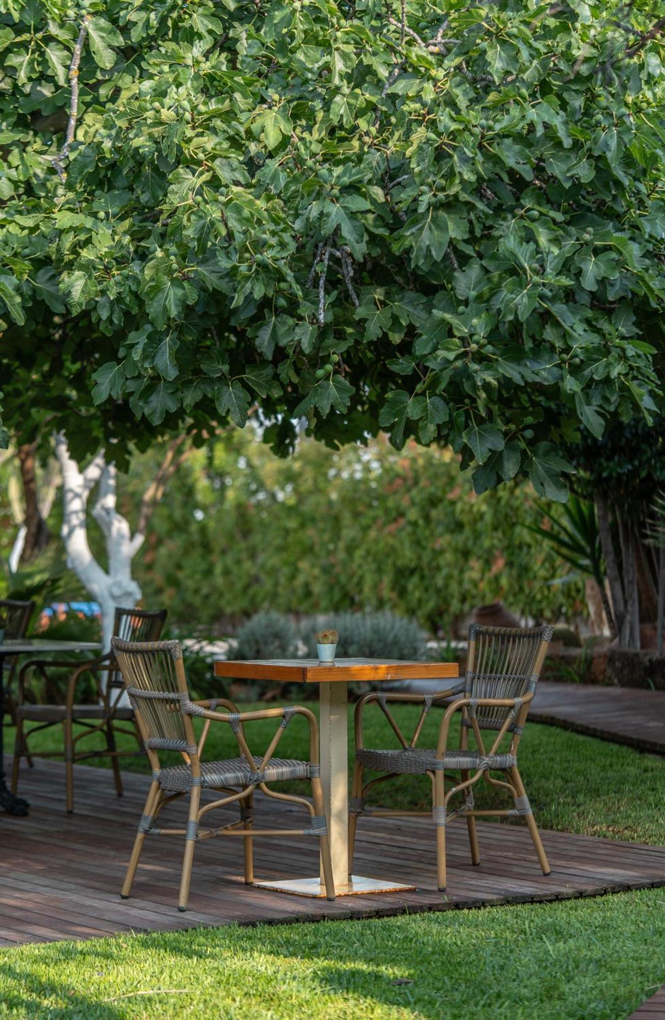 Boho Suites Denia (Adults Only) Ngoại thất bức ảnh